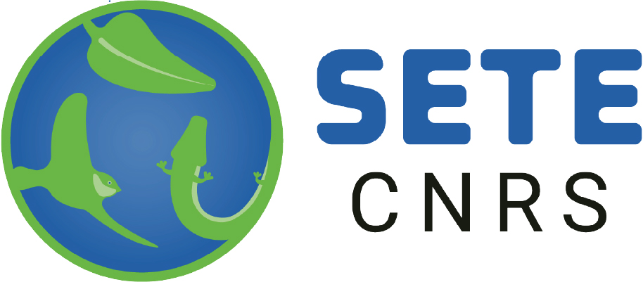 logo SETE