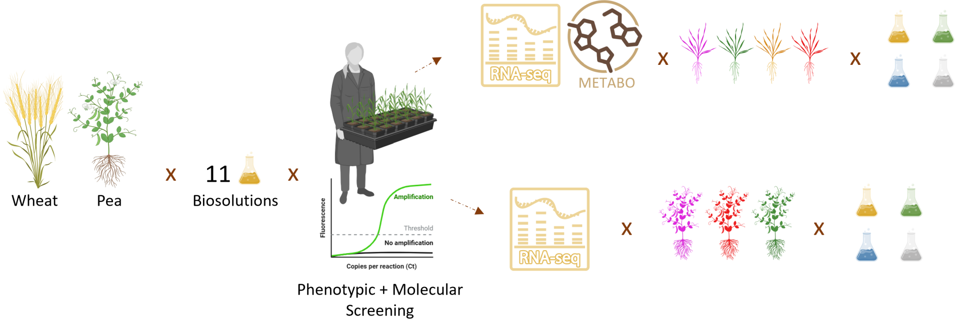 illustrationCbenezech
