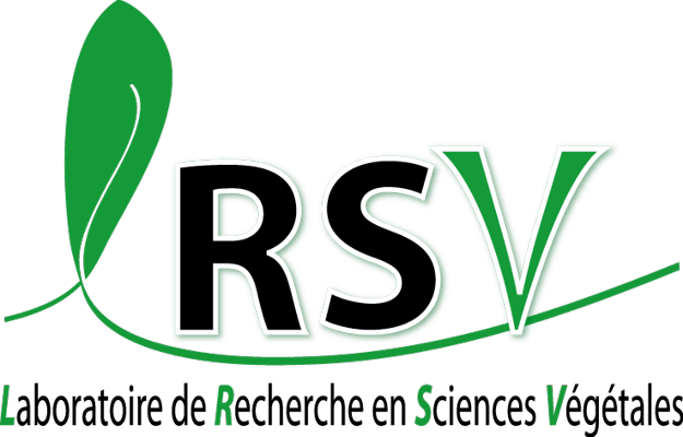 logo_LRSV