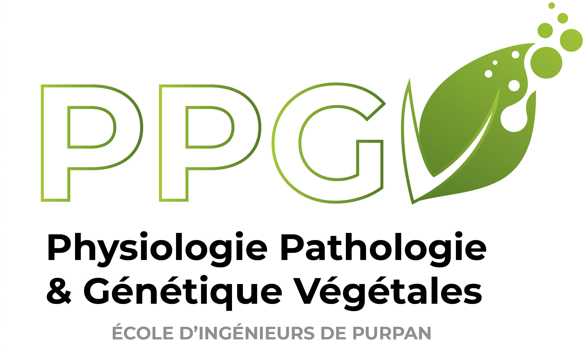 logo PPGV