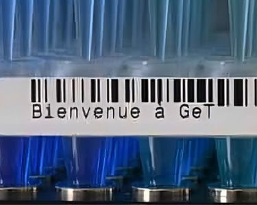 Vignette de la plateforme GET GENOTOUL © GET GENOTOUL