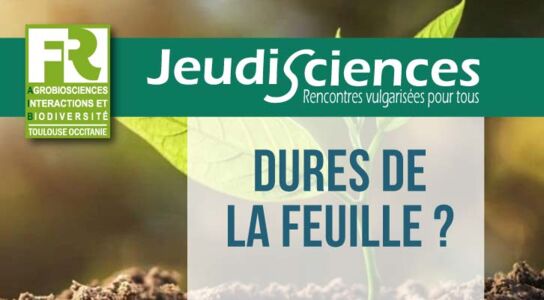 Jeudi Sciences - Dures de la feuille - JeudiSciences