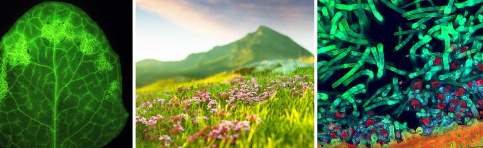 FR AIB  - Fédération de recherche AgroBioSciences, Interactions & Biodiversité