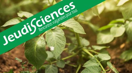 Jeudi science de Jean-Malo Couzigou, Le soja, des parcelles à nos assiettes © FRAIB