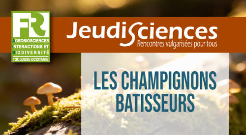 JS-sejalon-vignette.jpg