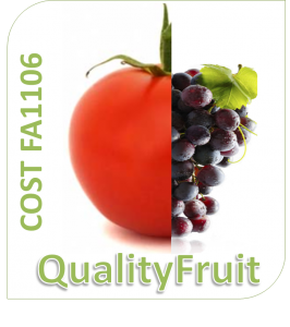 Logo COST