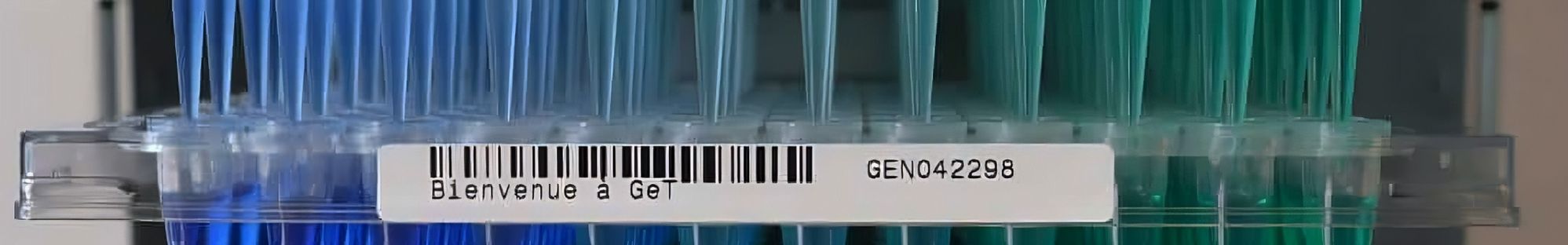Bandeau de la plateforme GET GENOTUL © GET GENOTOUL