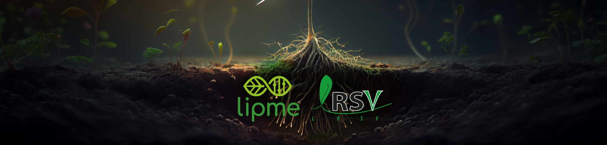 TPS Toulouse Plant Science