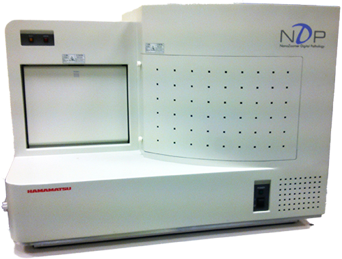 Nanozoommer