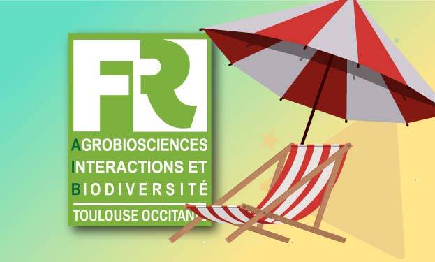 grmarc / Freepik (transat & parasol)