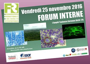 AfficheForum2016