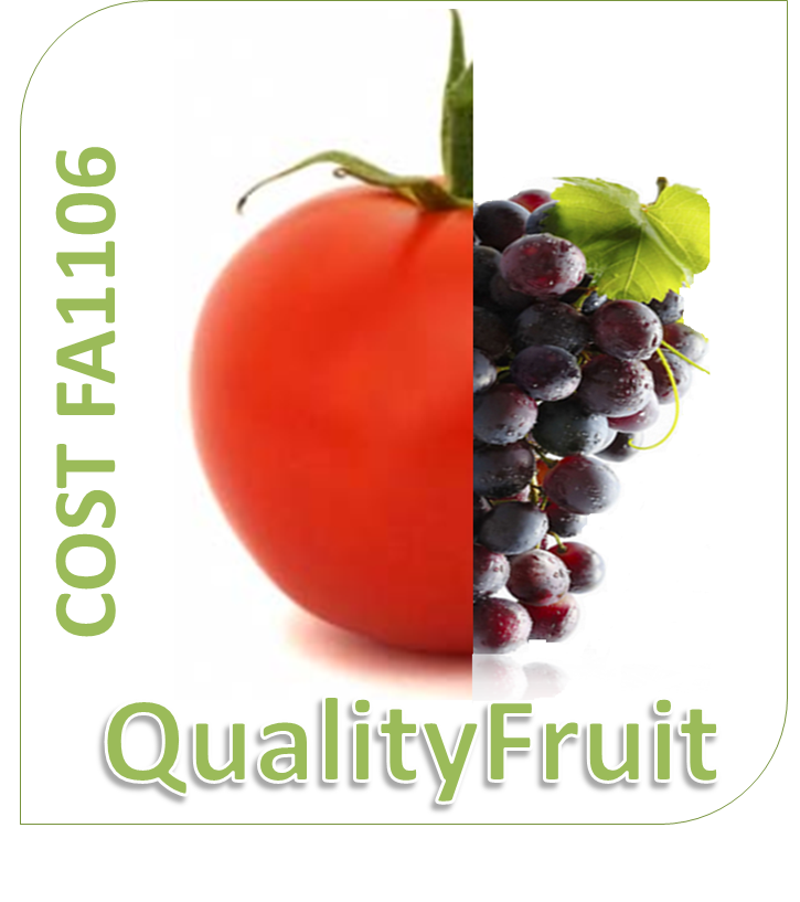 Logo COST