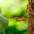 © AdobeStock_522313214