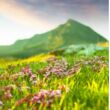 FR AIB  - Fédération de recherche AgroBioSciences, Interactions & Biodiversité