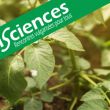 Jeudi science de Jean-Malo Couzigou, Le soja, des parcelles à nos assiettes © FRAIB