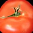 Photo de tomates © Georg Groth