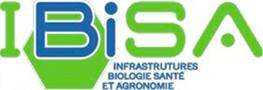 logo-ibisa