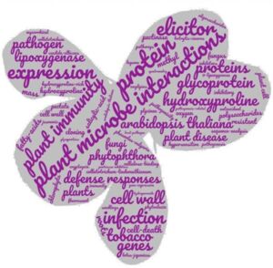 Illustration-publications-MT-Esquerre-Tugay&eacute; - Illustration : S. Cassette