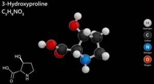 Structure de l'Hydroxyproline - Shutterstock