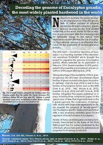 FMGrima_large