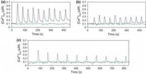 Calcium signaling