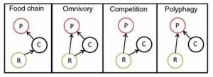 Schema