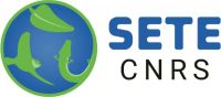 logo SETE