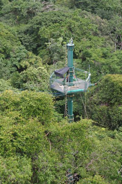 Un des pylônes du dispositif permanent d'accès à la canopée Copas<br> à Saut Pararé, en Guyane. P. Charles-Dominique - CNRS