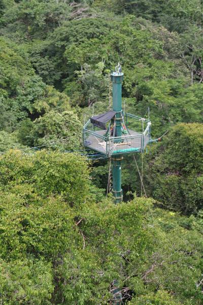 Un des pylônes du dispositif permanent d'accès à la canopée Copas<br> à Saut Pararé, en Guyane. P. Charles-Dominique - CNRS