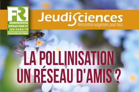 M. BURRUS & A. PORNON - La pollinisation : un réseau d'amis ?