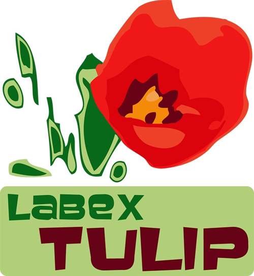 Labex TULIP