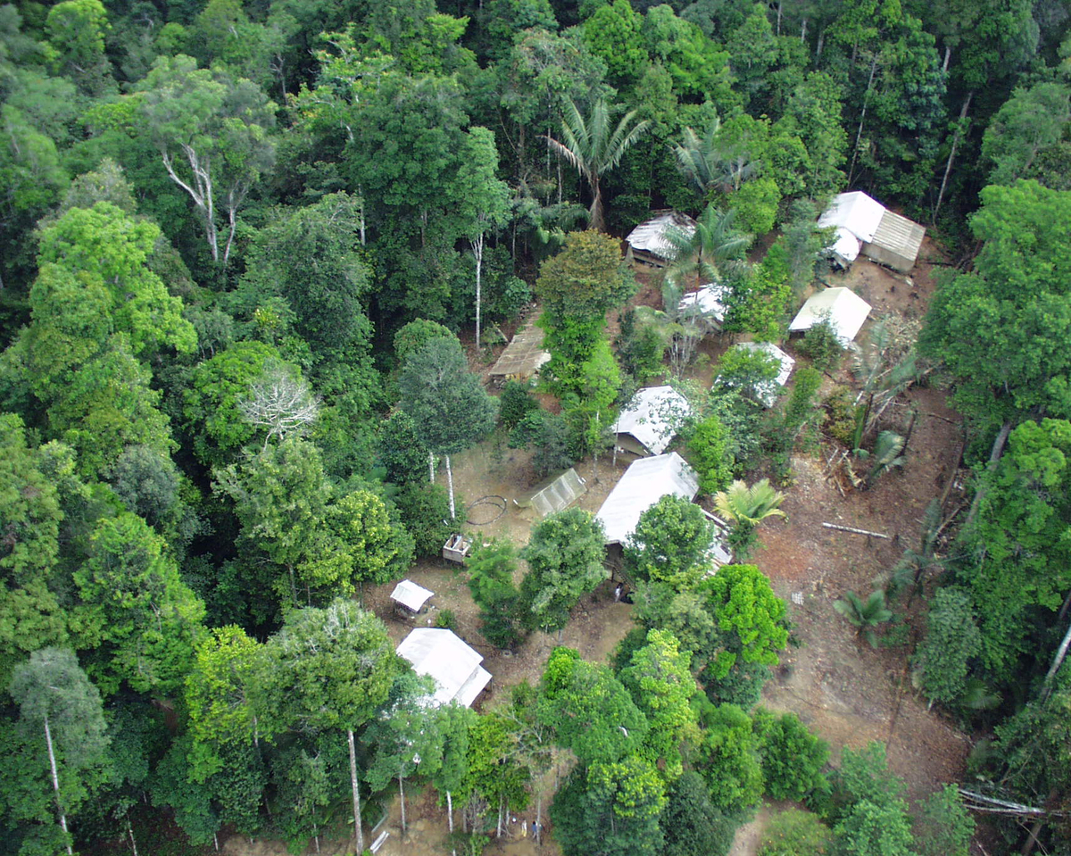 Vue aérienne du camp des Nouragues (site Inselberg), station de recherche en écologie tropicale. P. Charles-Dominique - CNRS